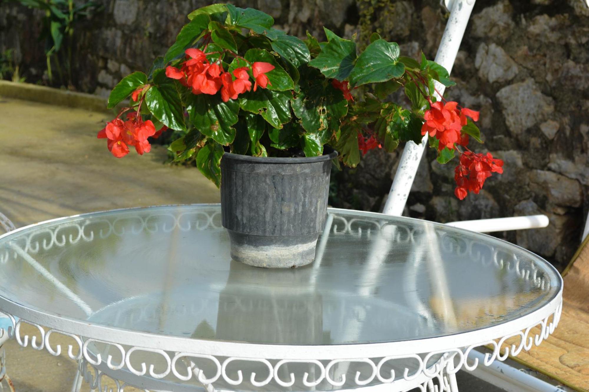 Apartments Villa Luti Stjar Luaran gambar